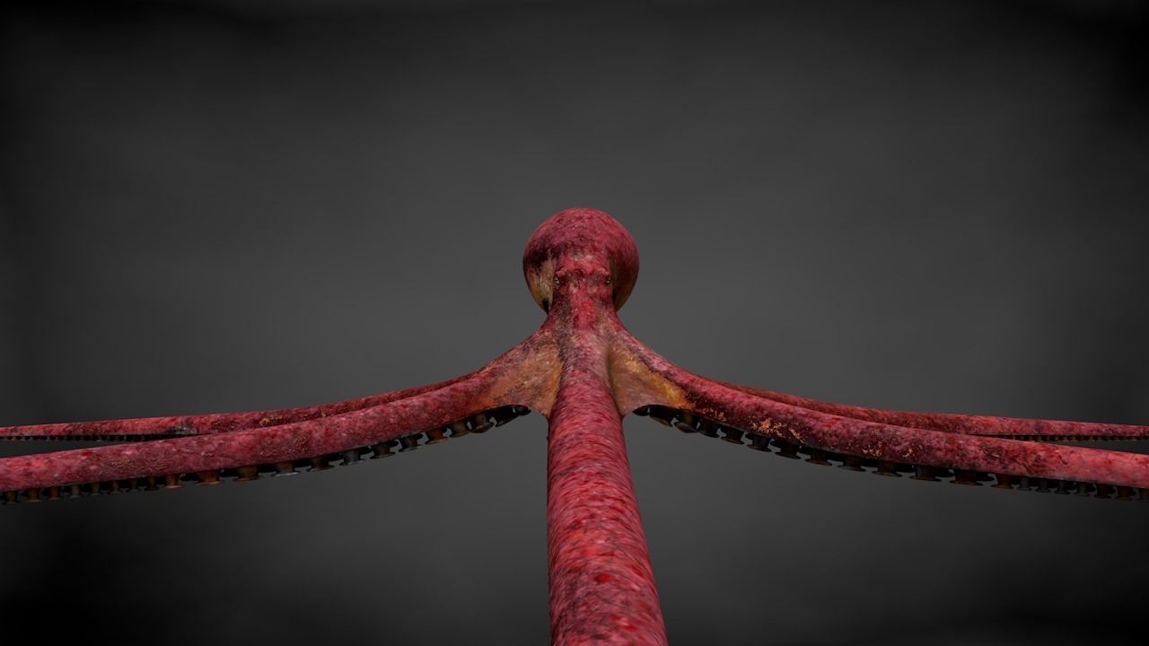 Pacific Octopus Rigged Animated C4D Low-poly 3D model_23
