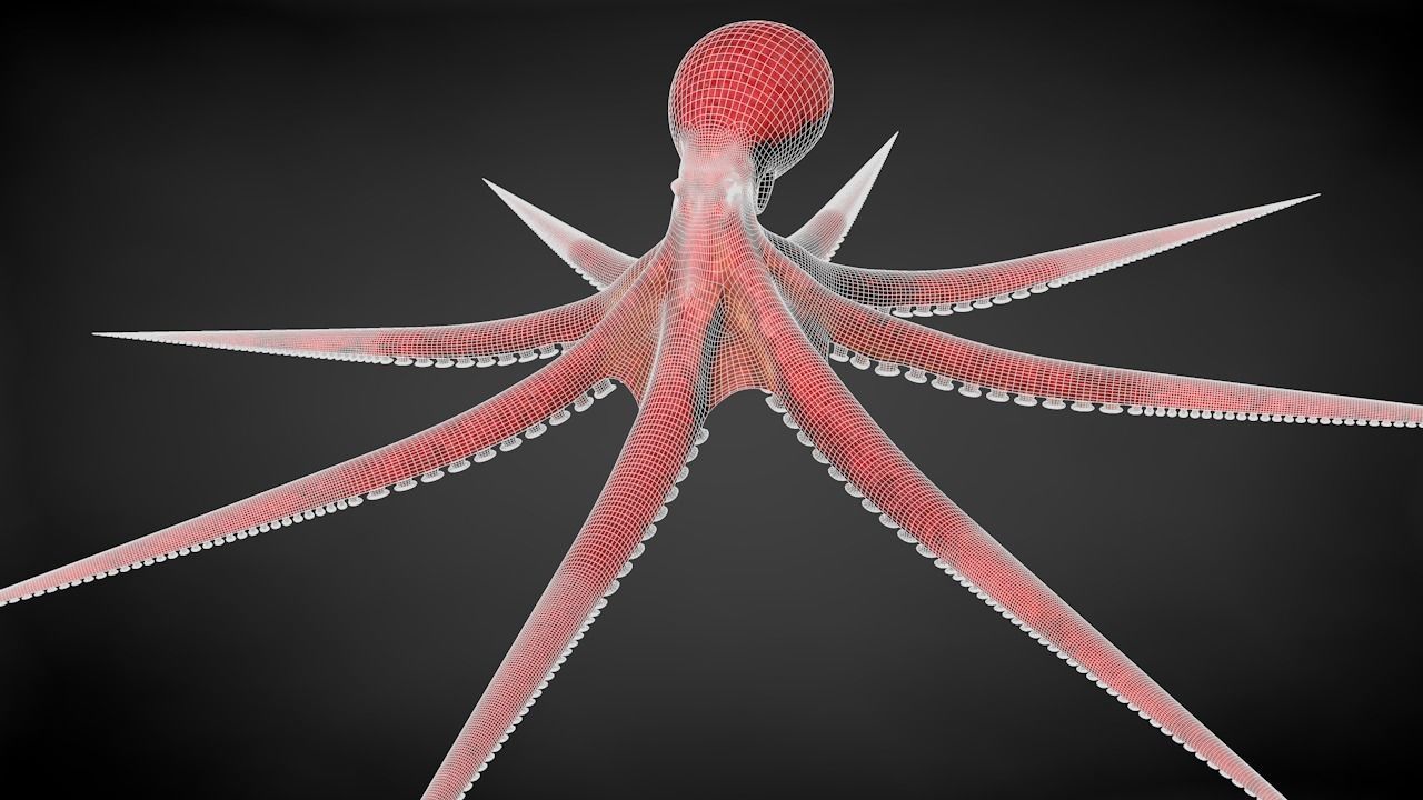 Pacific Octopus Rigged Animated C4D Low-poly 3D model_36