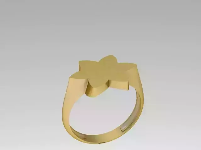 Geometric ring 39