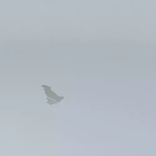 Contemporary Wall Lights