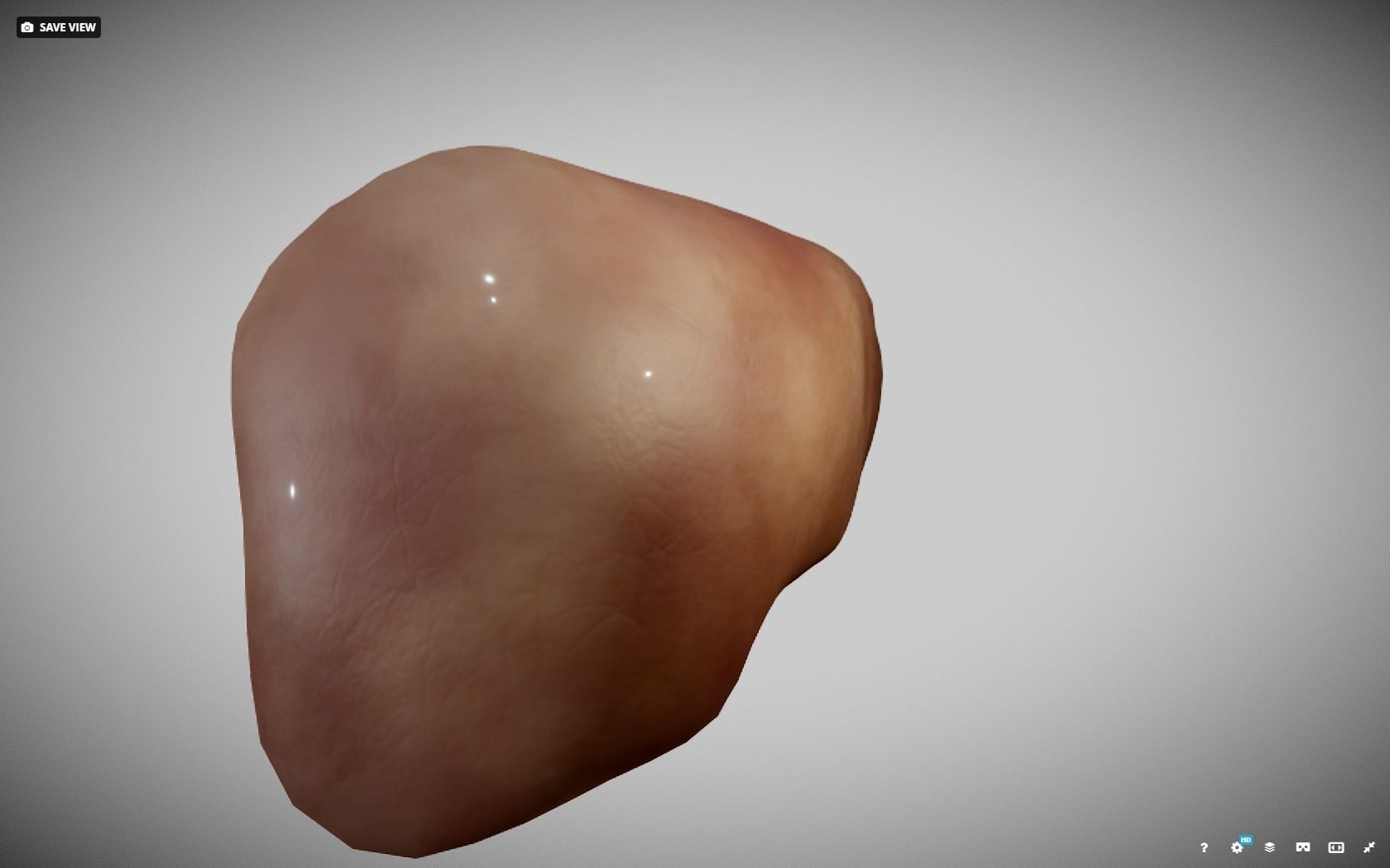 Liver ear Low-poly 3D model_15