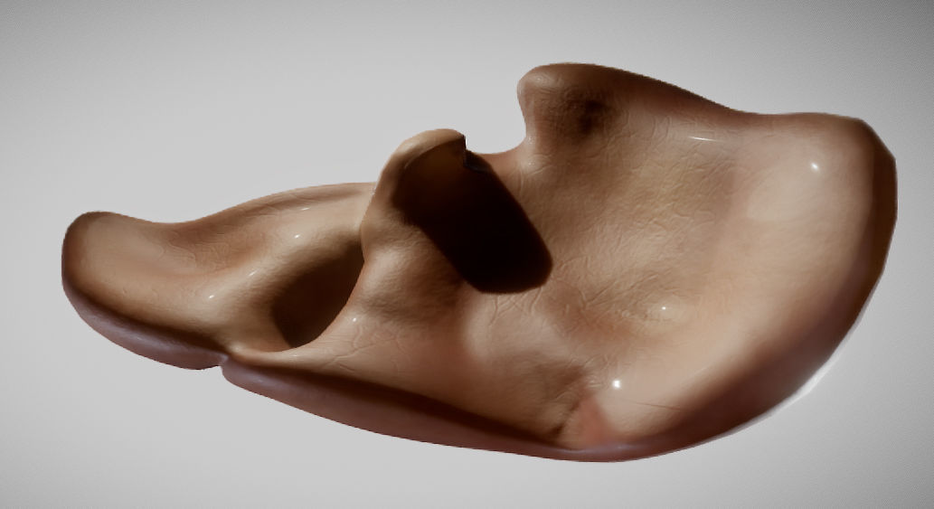 Liver ear Low-poly 3D model_6