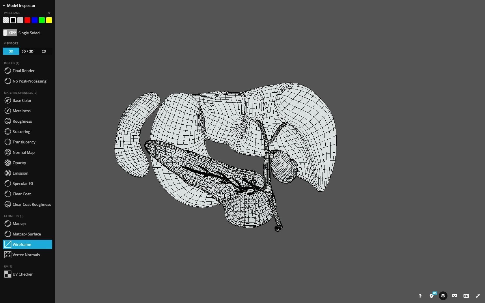 Liver - Spleen - Pancreas and relations Low-poly 3D model_27