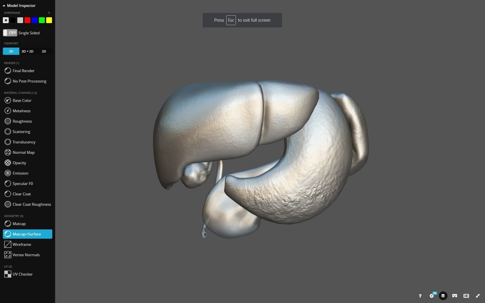 Liver - Spleen - Pancreas and relations Low-poly 3D model_29