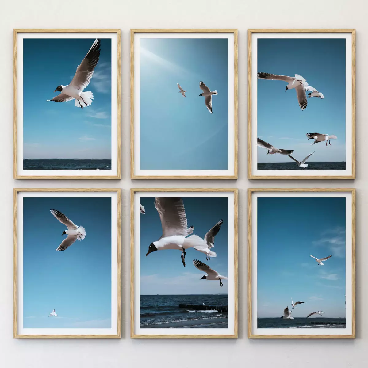 JUNIQE Seagulls Poster 3D model_0