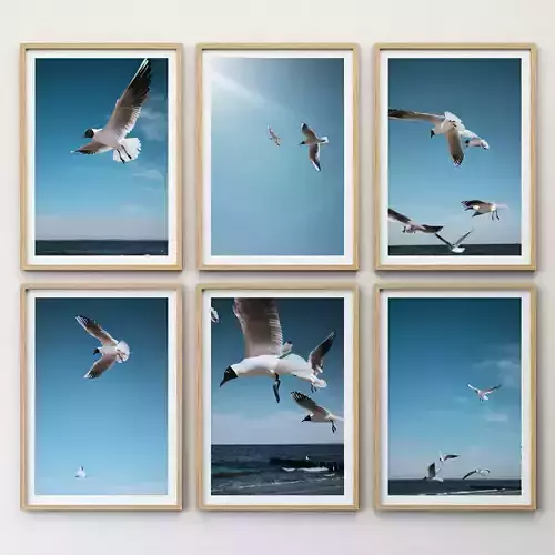 JUNIQE Seagulls Poster 3D model