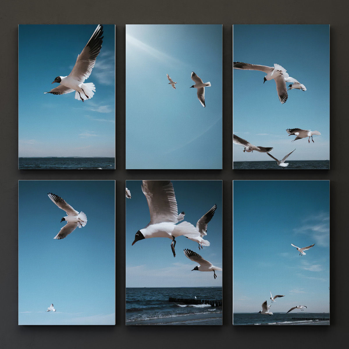 JUNIQE Seagulls Poster 3D model_3