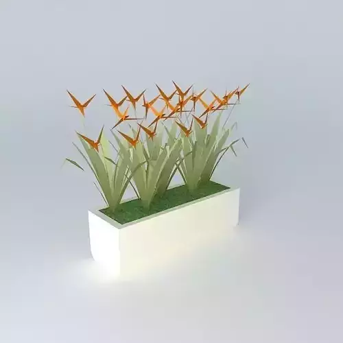 Floreira as Heliconias