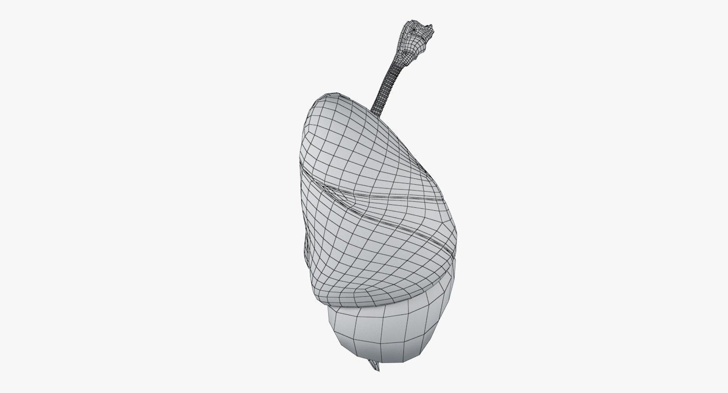 Respiratory System Low-poly 3D model_23