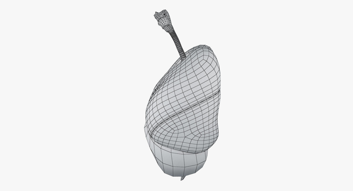 Respiratory System Low-poly 3D model_24