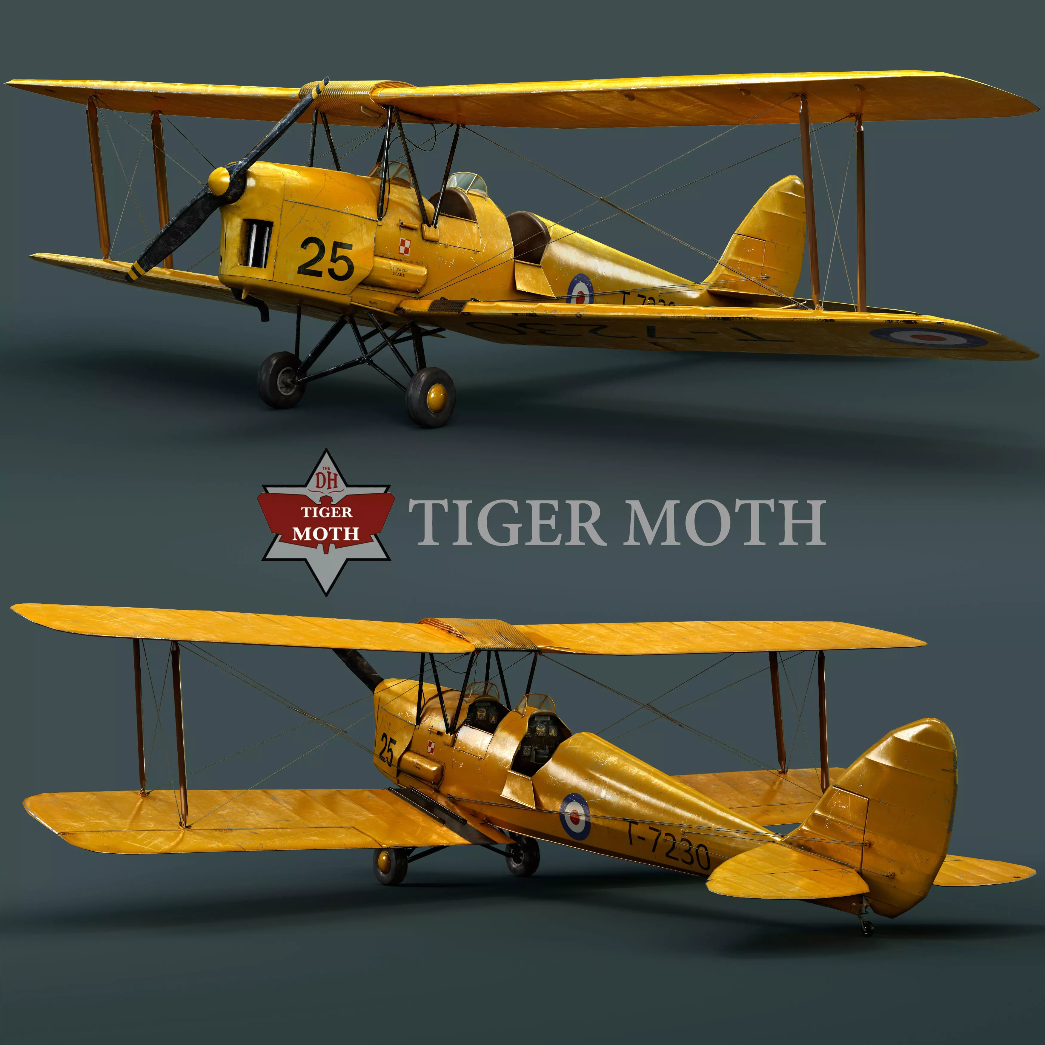 Plane 3D model wwii biplane 3D model_0