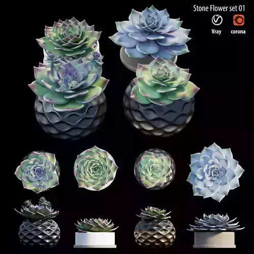 Stone flower set 01 