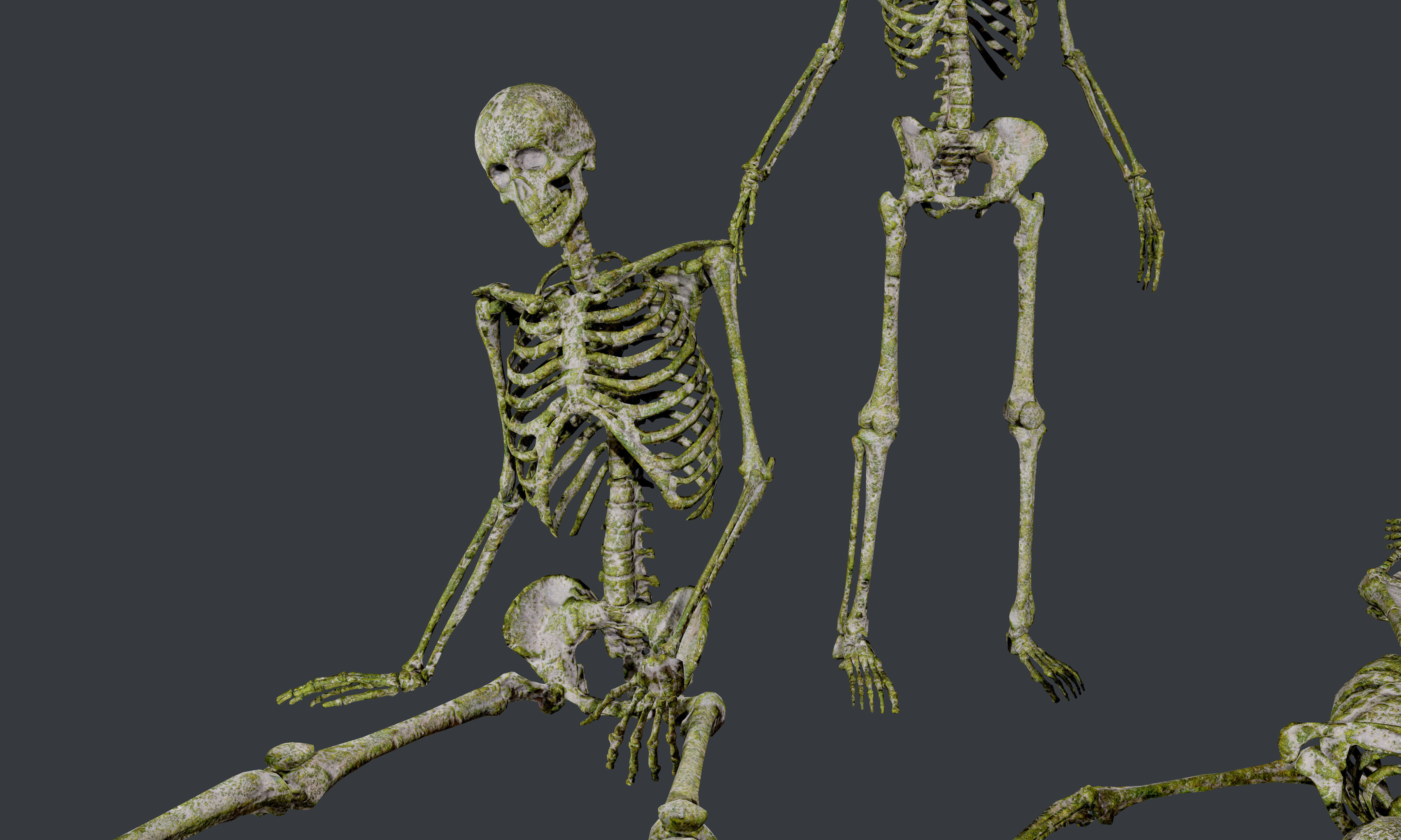10 Skeletons Old and Mossy Game Ready Low-poly 3D model_8