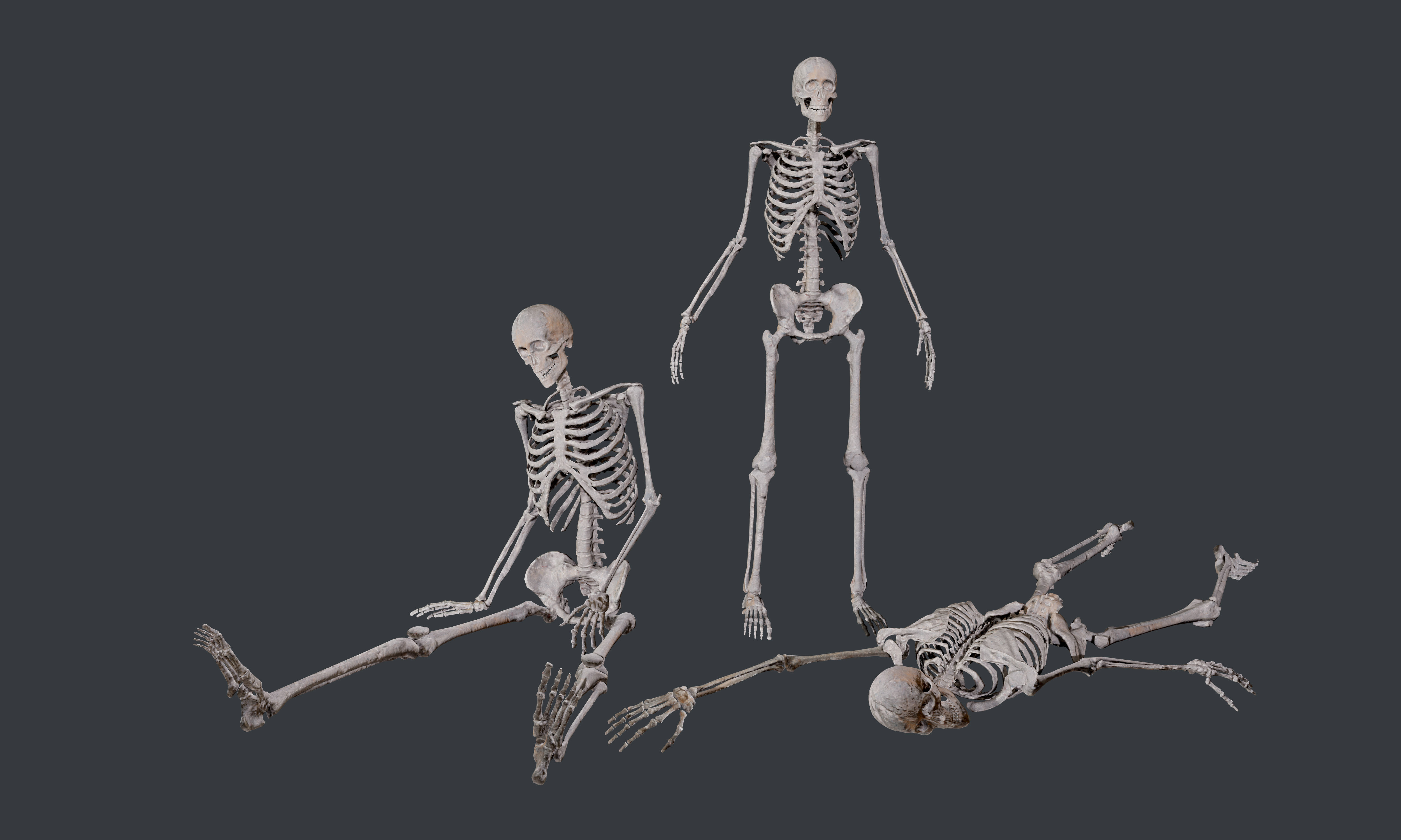 10 Skeletons Old and Mossy Game Ready Low-poly 3D model_16