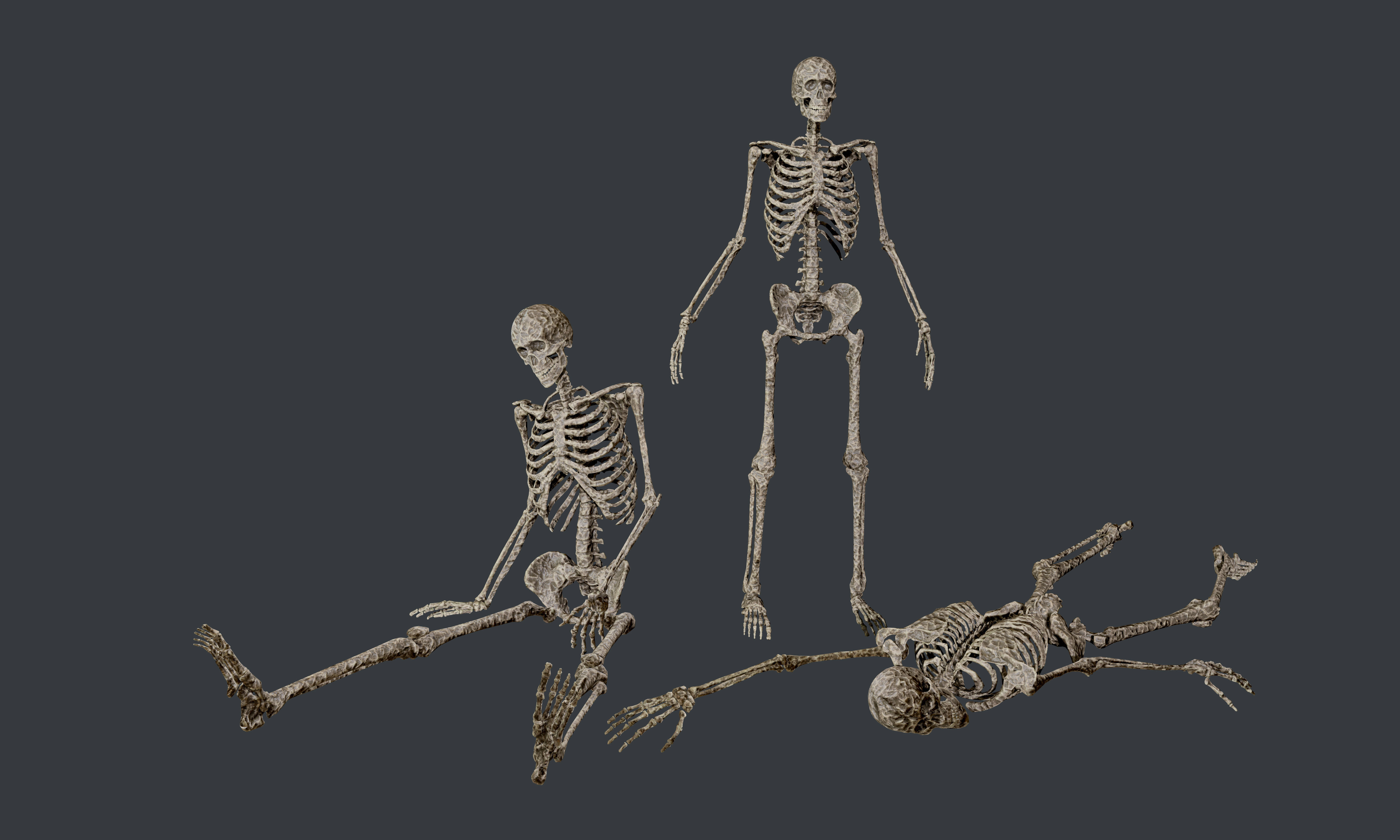 10 Skeletons Old and Mossy Game Ready Low-poly 3D model_19