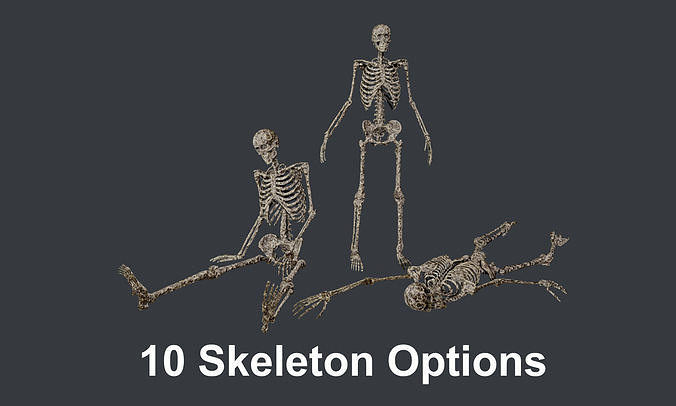 10 Skeletons Old and Mossy Game Ready Low-poly 3D model