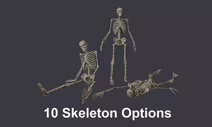 10 Skeletons Old and Mossy Game Ready Low-poly 3D model 10 Skeletons Old and Mossy Game Ready Low-poly 3D model