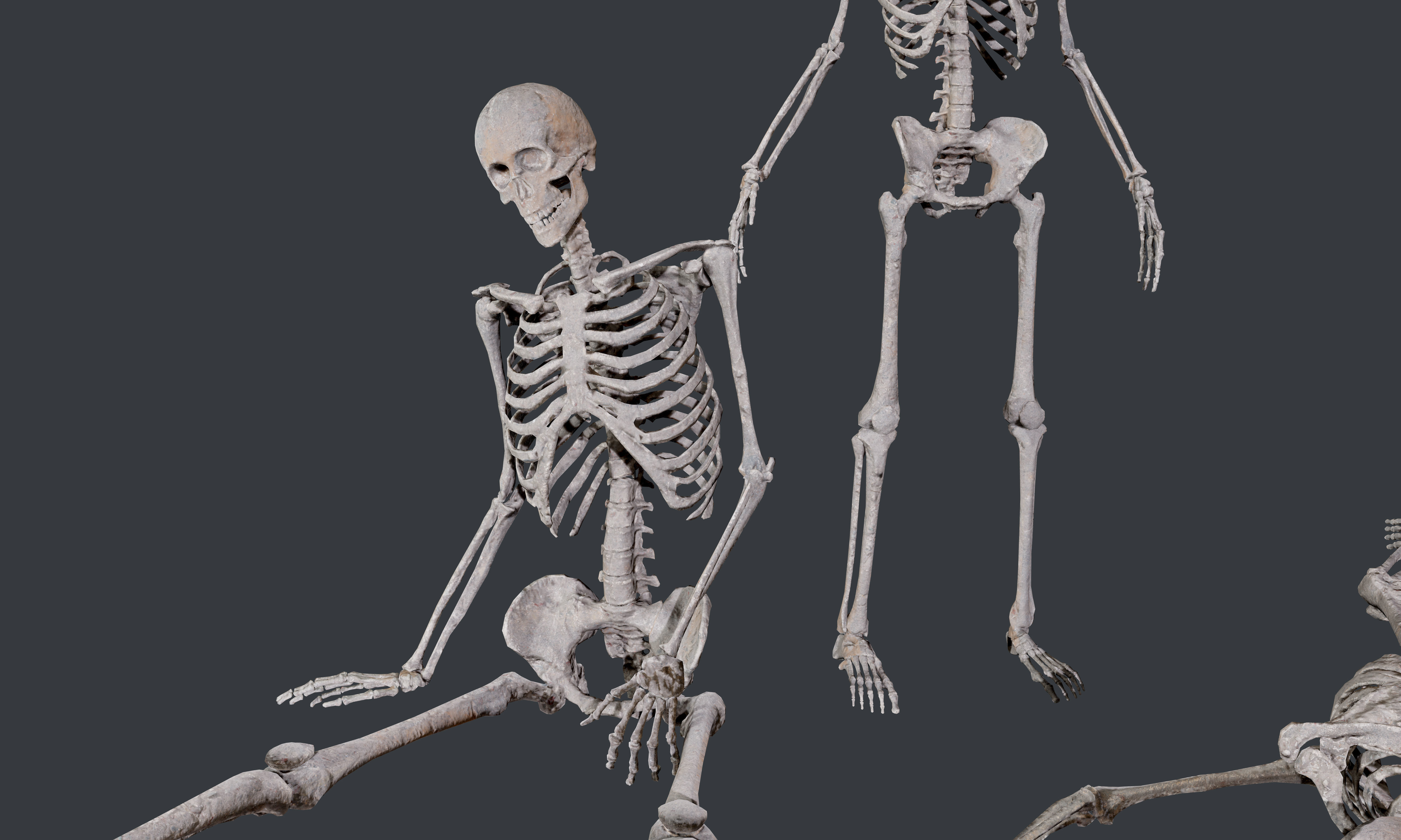 10 Skeletons Old and Mossy Game Ready Low-poly 3D model_14