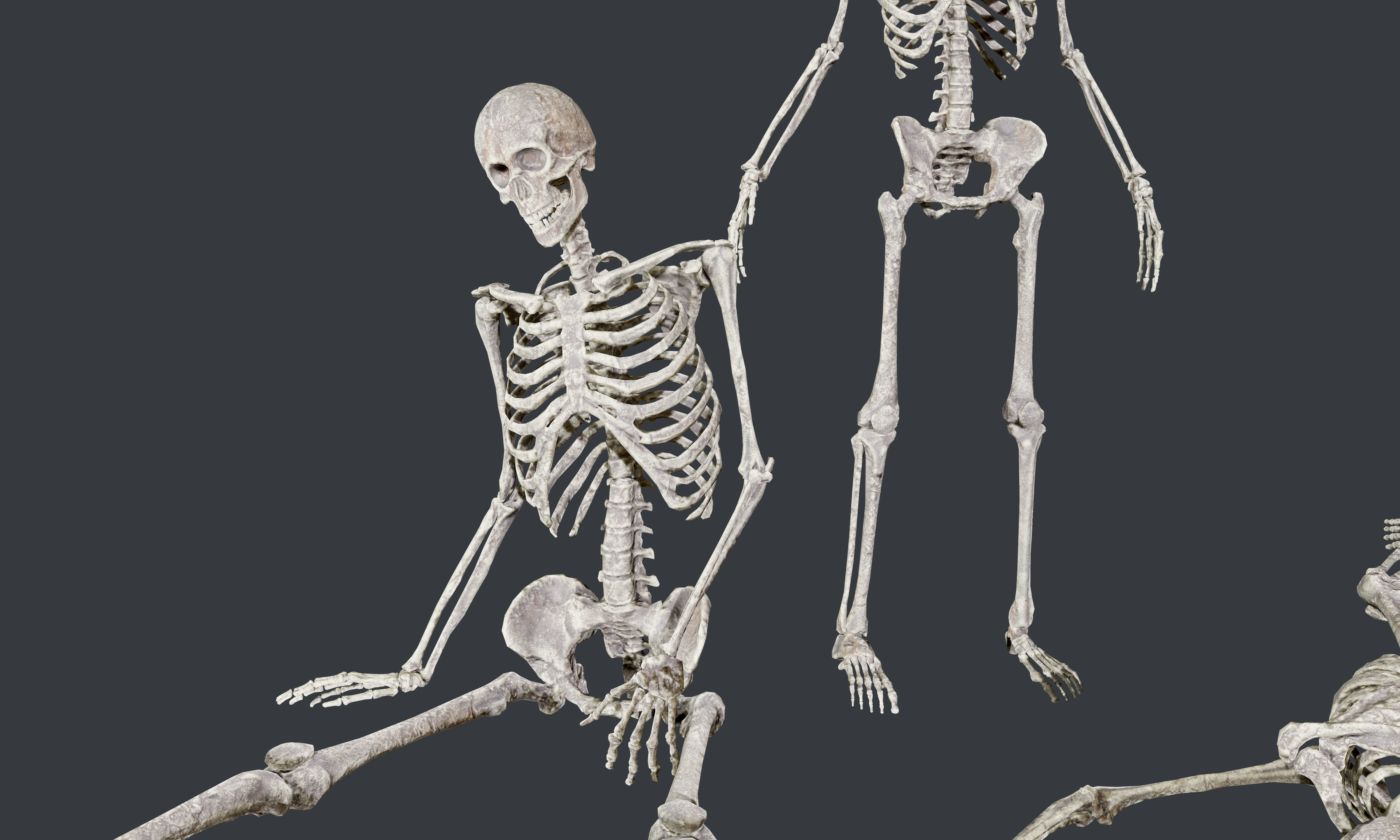 10 Skeletons Old and Mossy Game Ready Low-poly 3D model_3