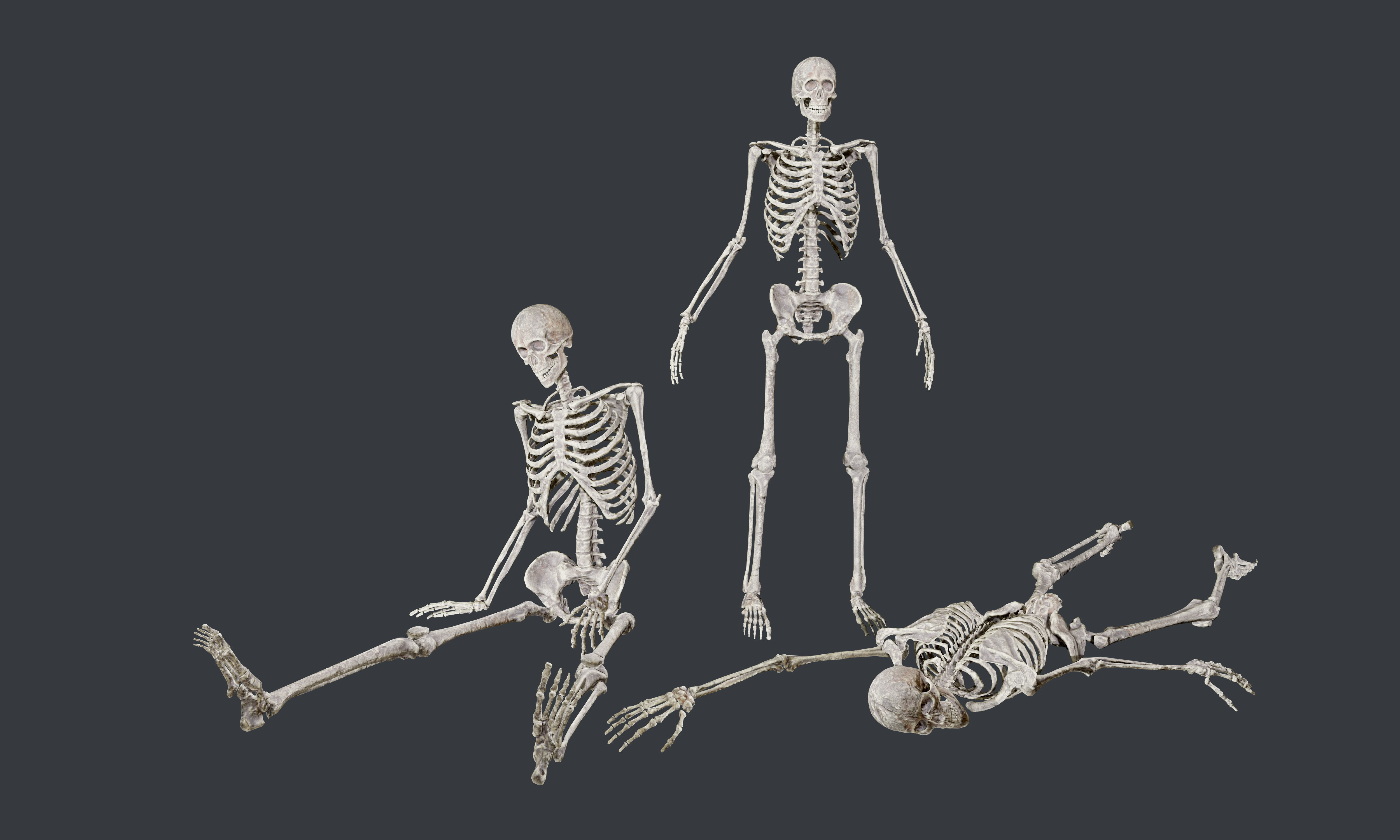 10 Skeletons Old and Mossy Game Ready Low-poly 3D model_15
