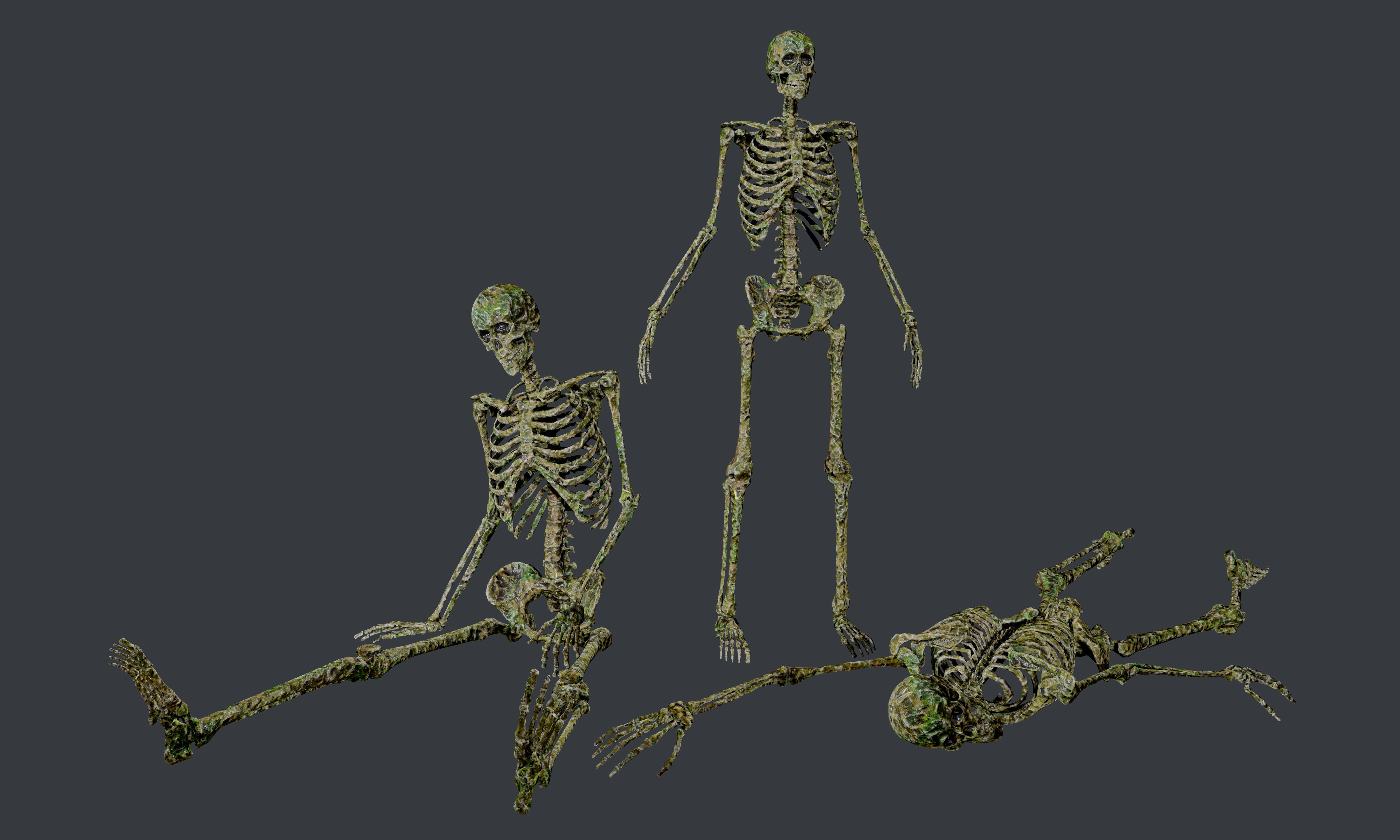 10 Skeletons Old and Mossy Game Ready Low-poly 3D model_13