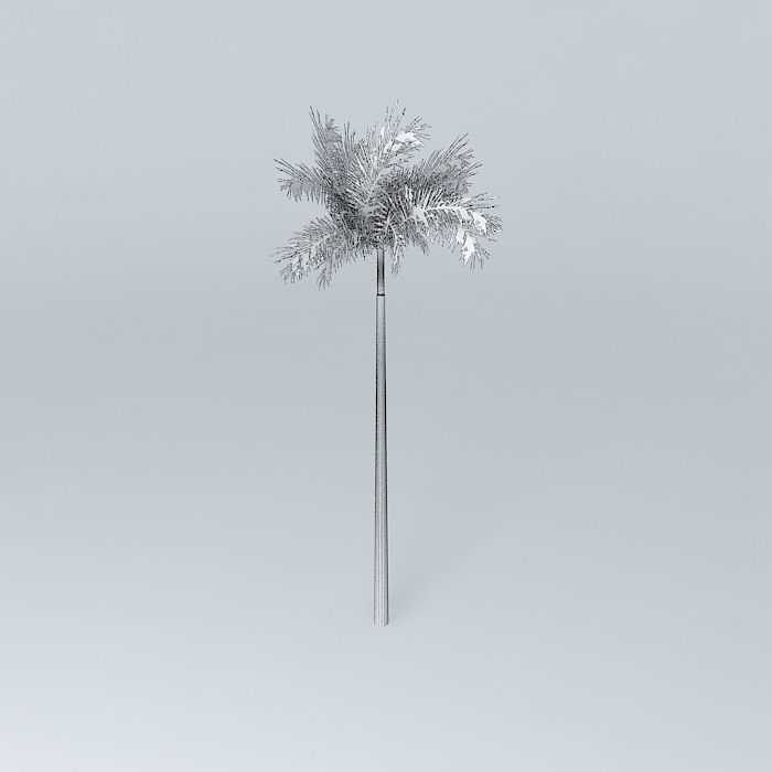 Palm tree Free 3D model_3