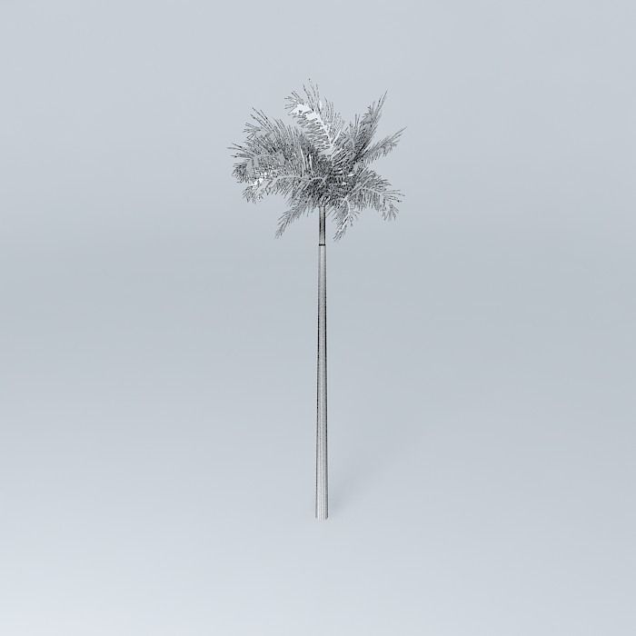 Palm tree Free 3D model_4