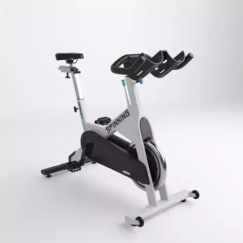 Home Spinner 3D model