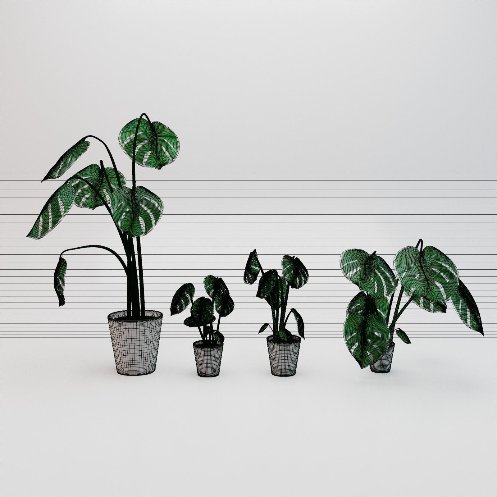 Monstera plants 3D model_1