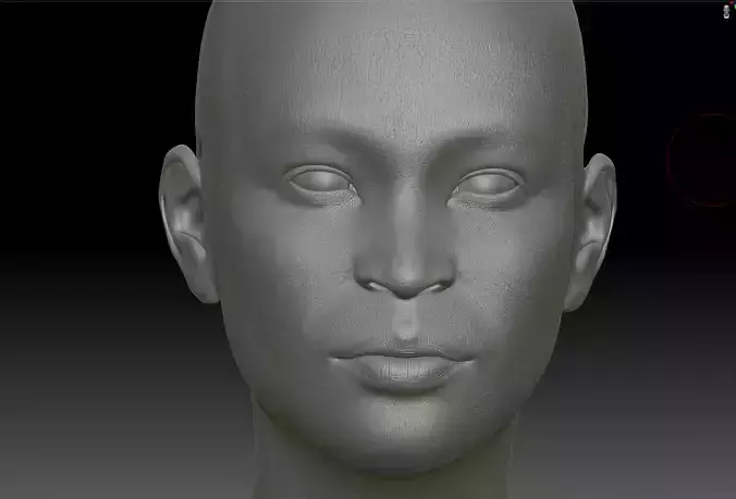 African American Woman - High Detail Sculpt