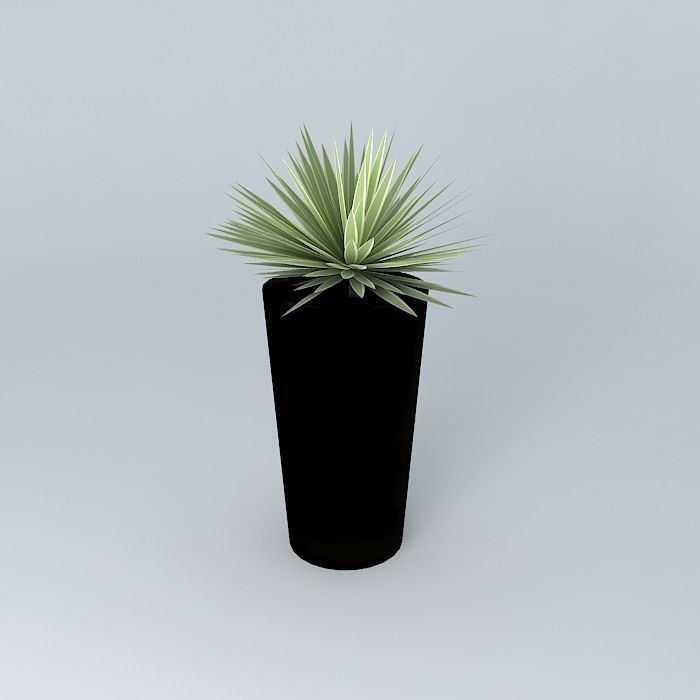 Highball with Agave Free 3D model_2