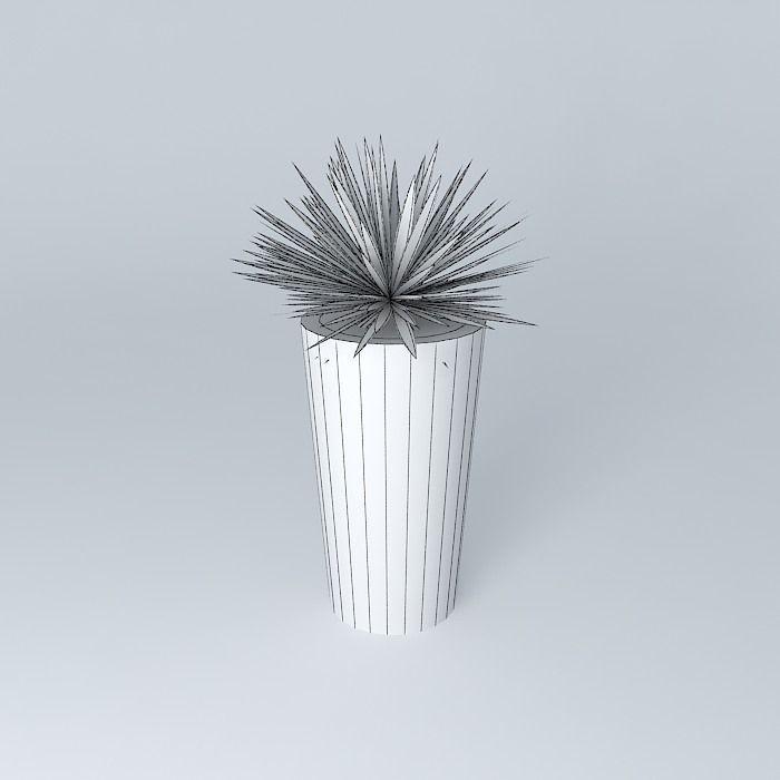 Highball with Agave Free 3D model_4