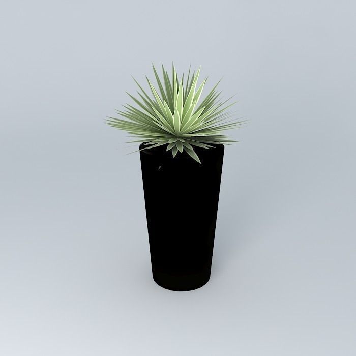Highball with Agave Free 3D model_1