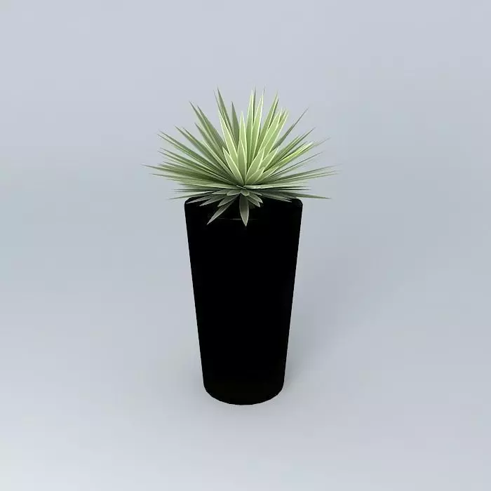 Highball with Agave Free 3D model_0