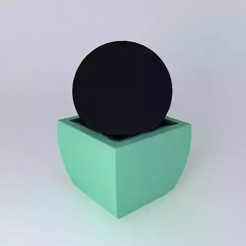 Square pot with boxwood