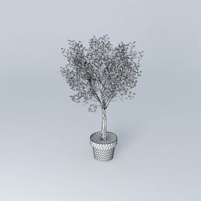 Terracotta vase with tree Free 3D model_4