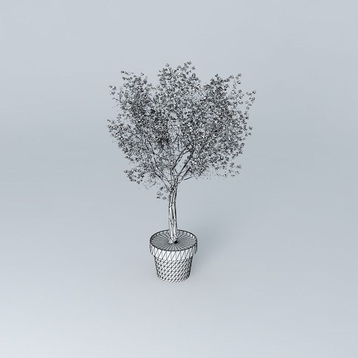 Terracotta vase with tree Free 3D model_3