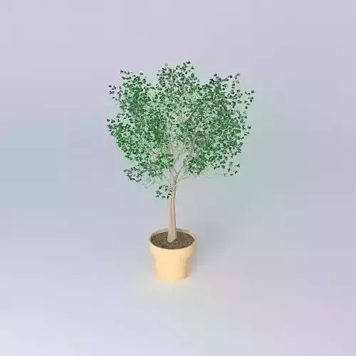 Terracotta vase with tree