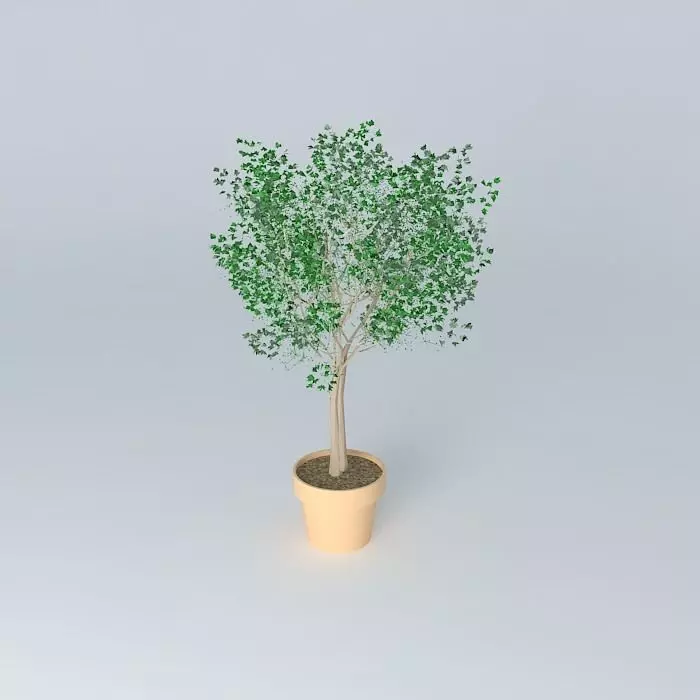 Terracotta vase with tree Free 3D model_0