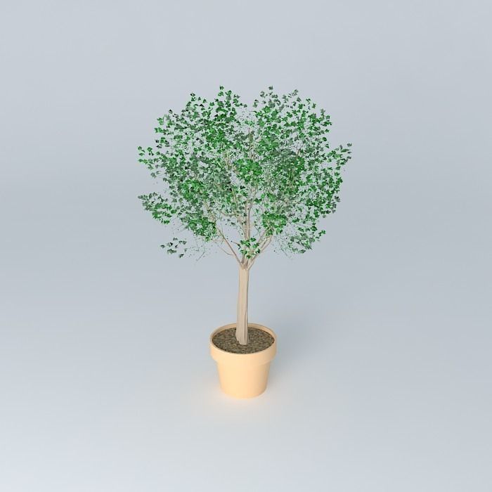 Terracotta vase with tree Free 3D model_1