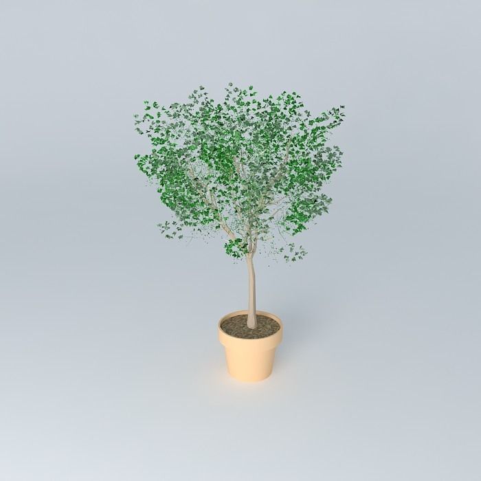 Terracotta vase with tree Free 3D model_2