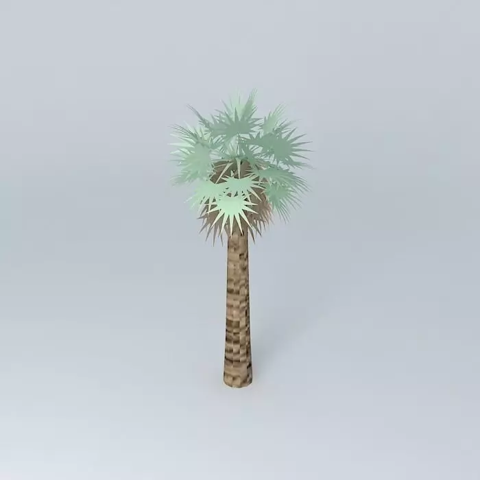 Washingtonia palm Free 3D model