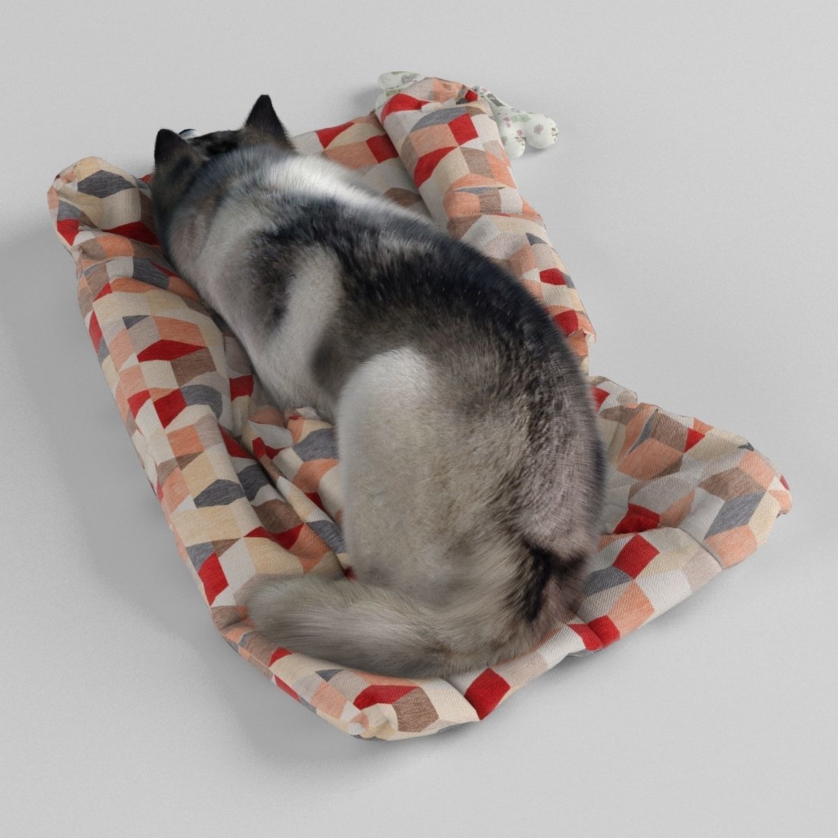 Sleeping Husky Dog 3D model_3
