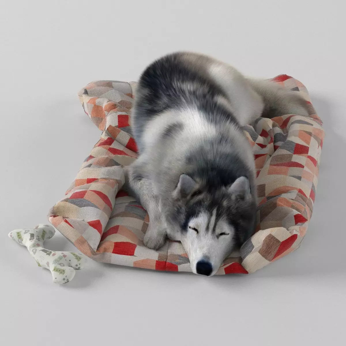 Sleeping Husky Dog 3D model_0