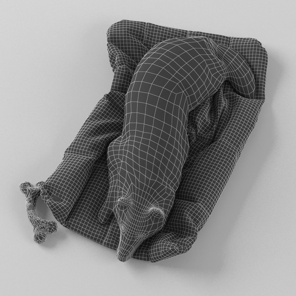 Sleeping Husky Dog 3D model_8