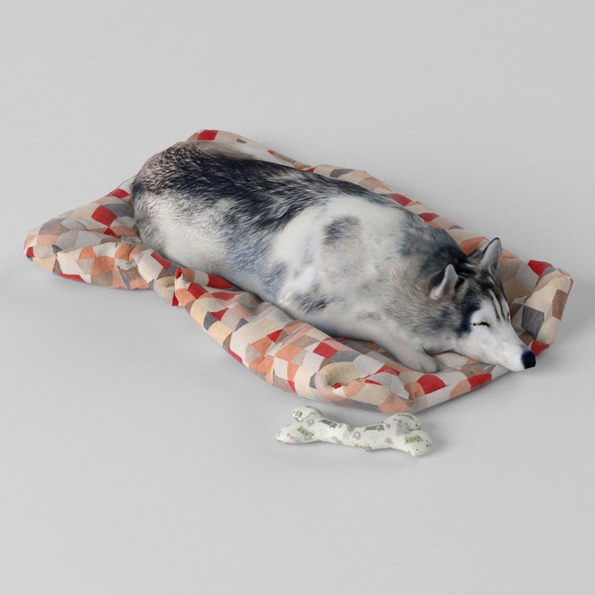 Sleeping Husky Dog 3D model_5