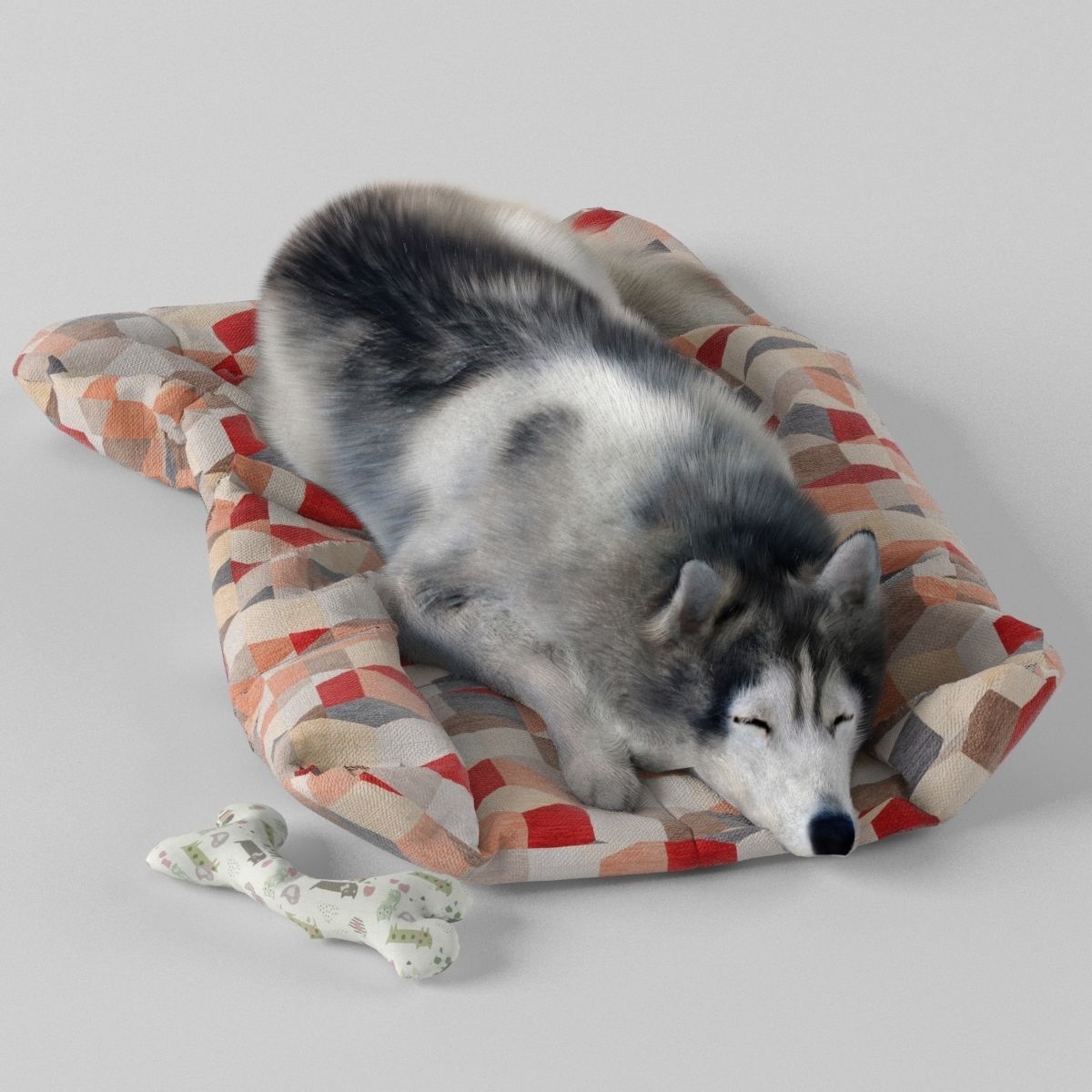 Sleeping Husky Dog 3D model_6
