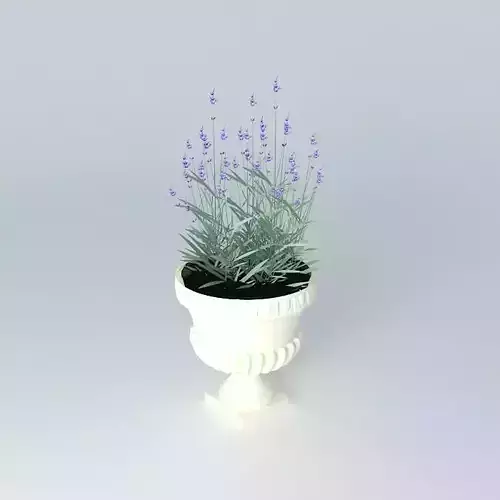 Small Cup with Lavender