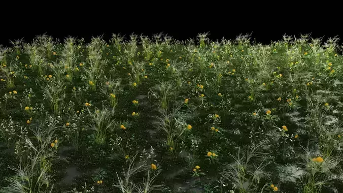grass archive 3D model