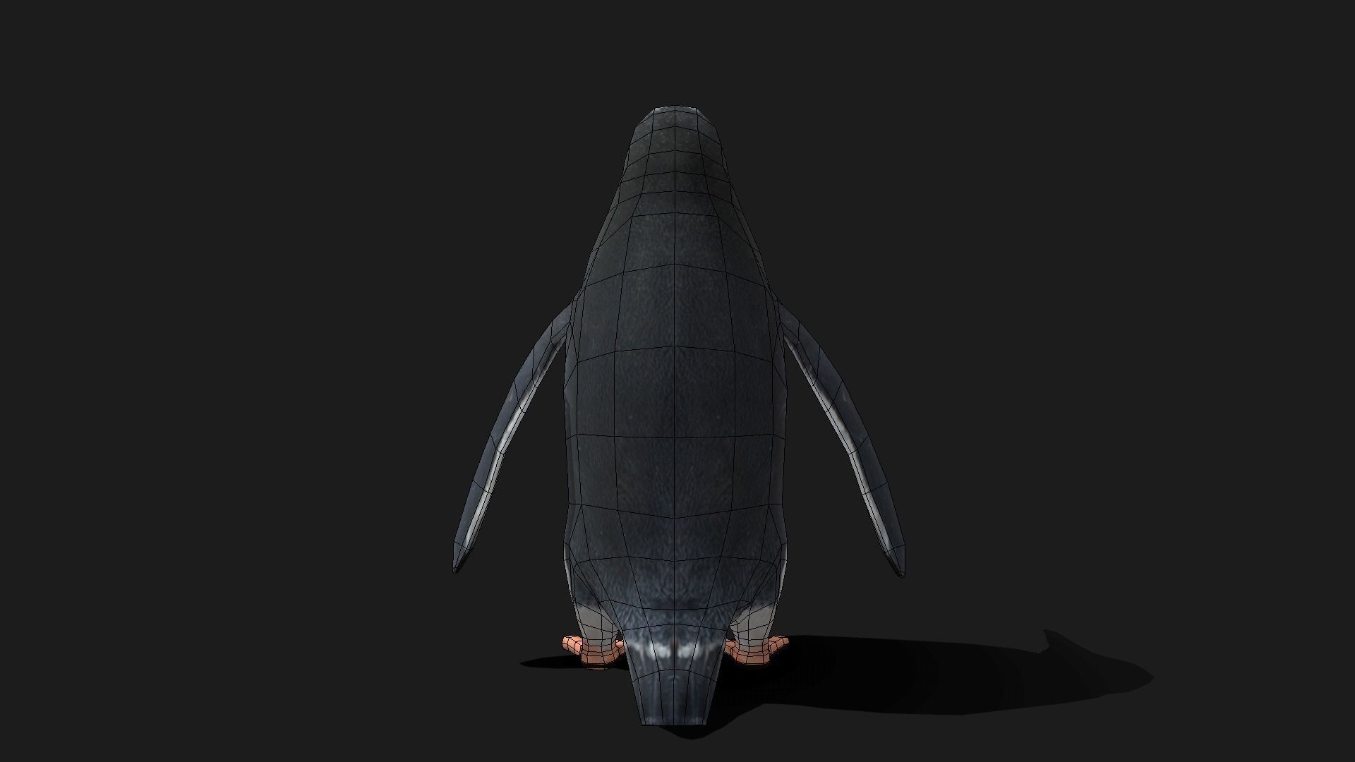 Gentoo Penguin - Animated Low-poly 3D model_16
